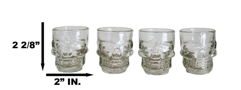 Set of 4 Clear Glass Gothic Skeleton Skull Face Liquor Shot Glasses Shooters