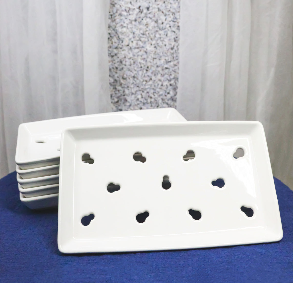 Pack Of 6 Ceramic White Neta Zara Sushi Case Plates With Drip Holes 9" By 5"