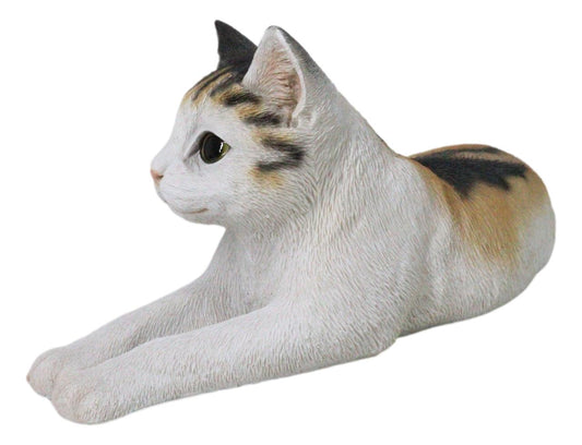 Realistic Adorable Feline Shorthair Calico Cat Kitten Lying Statue14.25"L
