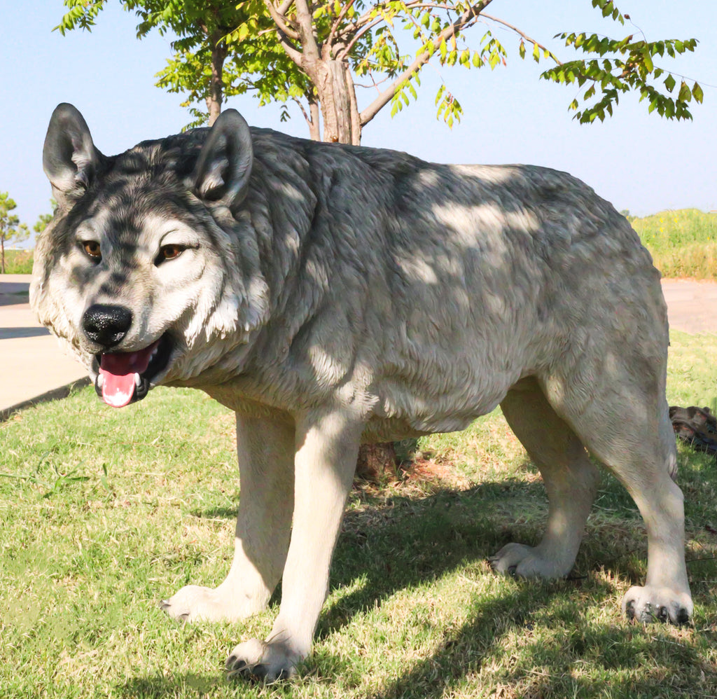 Ebros Large Feet Long Wildlife Alpha Gray Wolf Statue Realistic Timb– Ebros  Gift