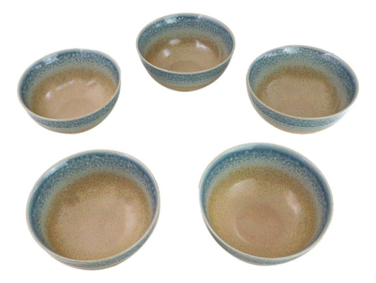 Pack Of 5 Blue River Ao Nagashi Medium Soup Salad Rice Donburi Poke Bowls 24oz