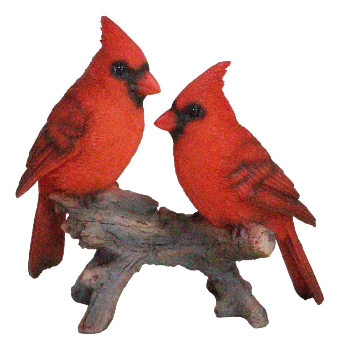 Wildlife Nature 2 Northern Red Cardinal Birds Perching On Branch