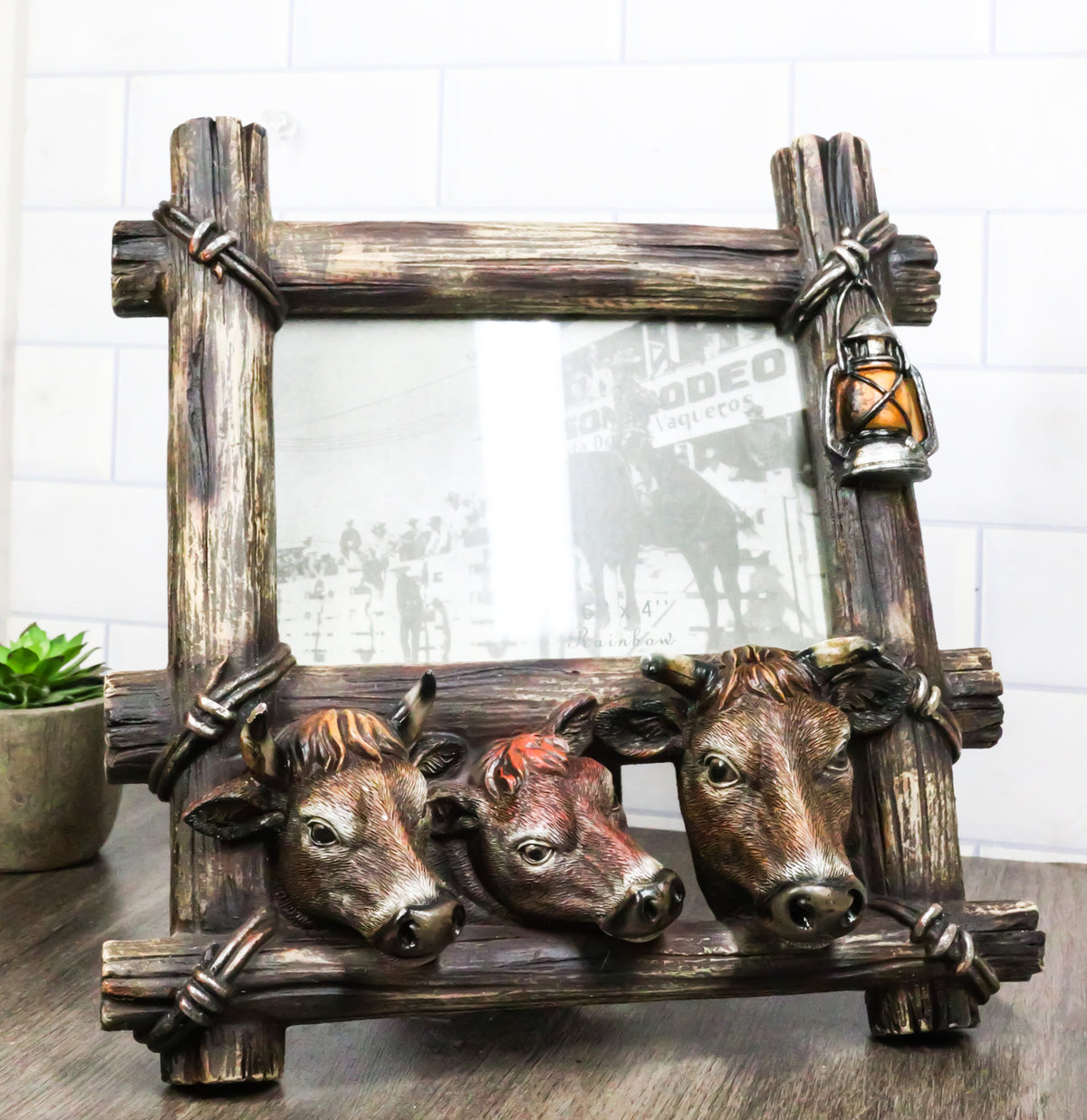 Western Country Rustic Farm Cattle Cow Bulls Barnwood Lantern Picture Frame 6x4