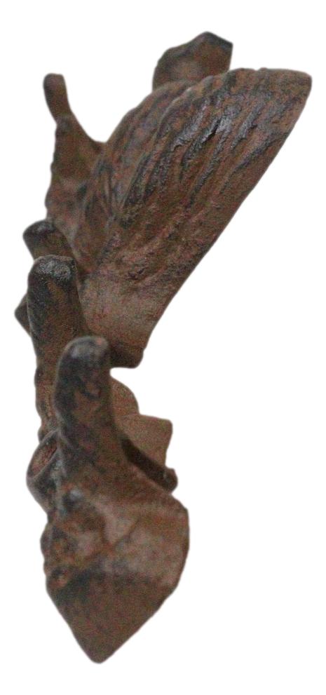 Rustic Cast Iron Playful Squirrel Perching On Tree Branch 4-Peg Wall Hooks Decor - Ebros Gift