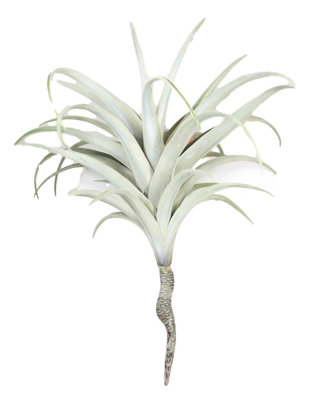 Set Of 4 Realistic Large Artificial Air Plant Succulents Stem Green Bo–  Ebros Gift