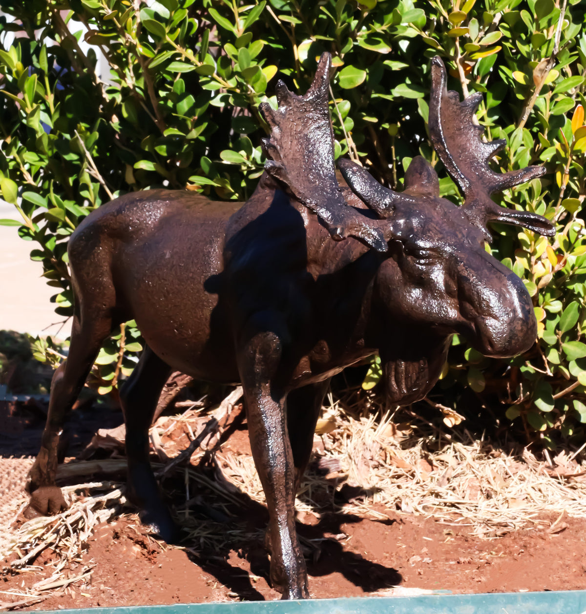 Cast Iron Large Emperor Stag Elk Bull Moose In Bronze Finish Figurine 11.25"L - Ebros Gift