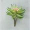 Pack Of 6 Realistic Artificial Flower Green Cactus Succulent Stem Botanicas