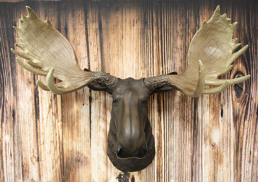 Ebros North American Bull Moose Wall Decor ANTLERS ONLY