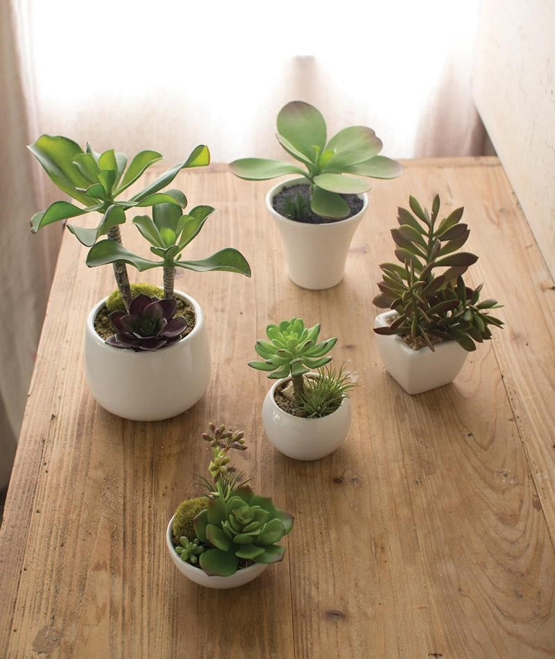 mini potted faux succulents Set Of 5 Realistic Artificial Faux Botanica Succulents In Ceramic Mini– Ebros Gift