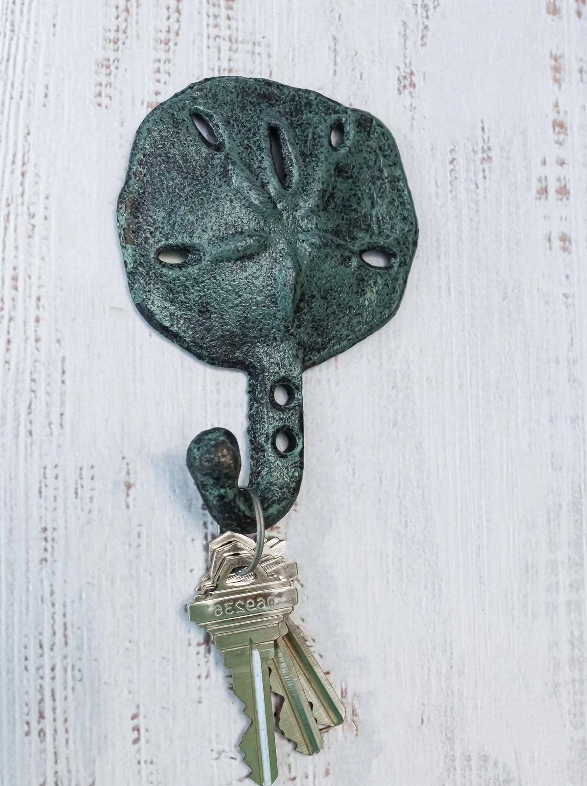 Set Of Two Cast Iron Verdigris Coastal Marine Sand Dollar Wall Coat Hook Hangers