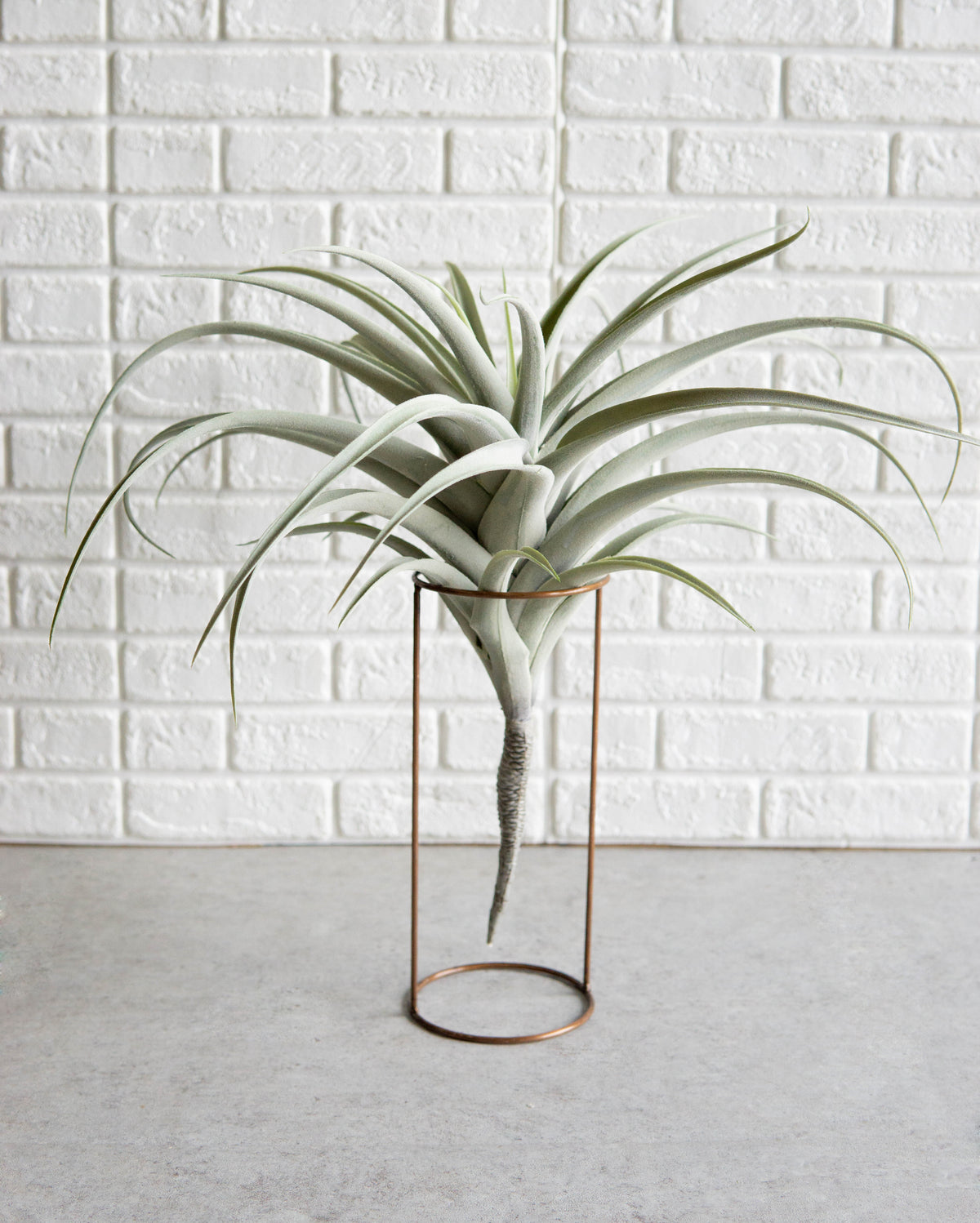 Set Of 4 Realistic Large Artificial Air Plant Succulents Stem Green Botanica 17"