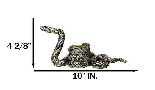 Witchcraft Sorcery Dark Magic Coiled Serpent Snake Taper Candleholder Figurine
