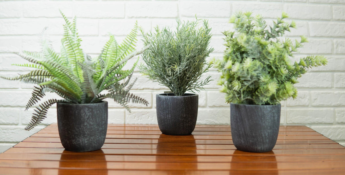 Set of 3 Realistic Artificial Botanica Greenery Ferns in Faux Cement Pots 12"H
