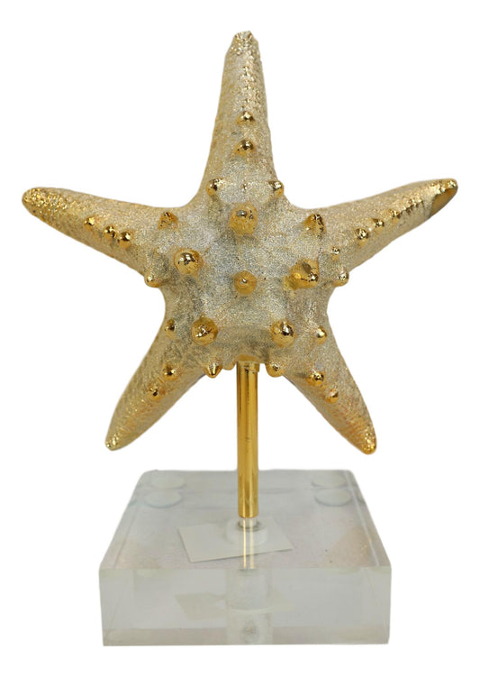 Nautical Marine Coral Golden Sea Star Shell Starfish Sculpture Acrylic Base