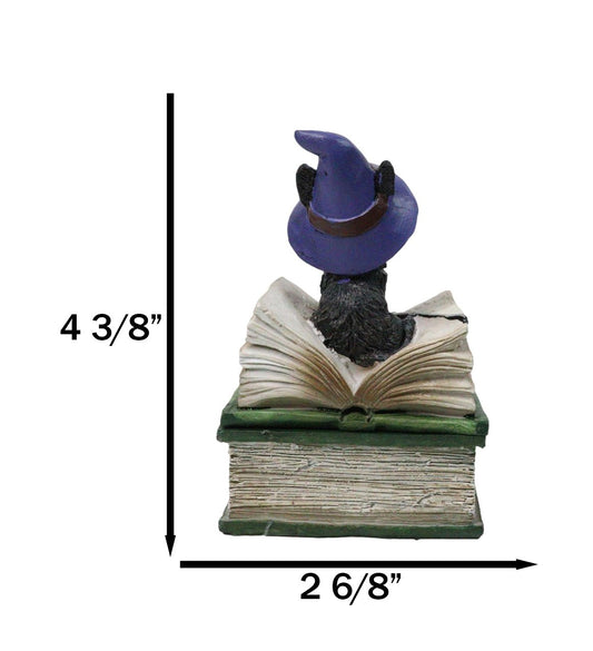 Mystical Black Cat with Witch Hat On Green Book of Spells Small Trinket Box