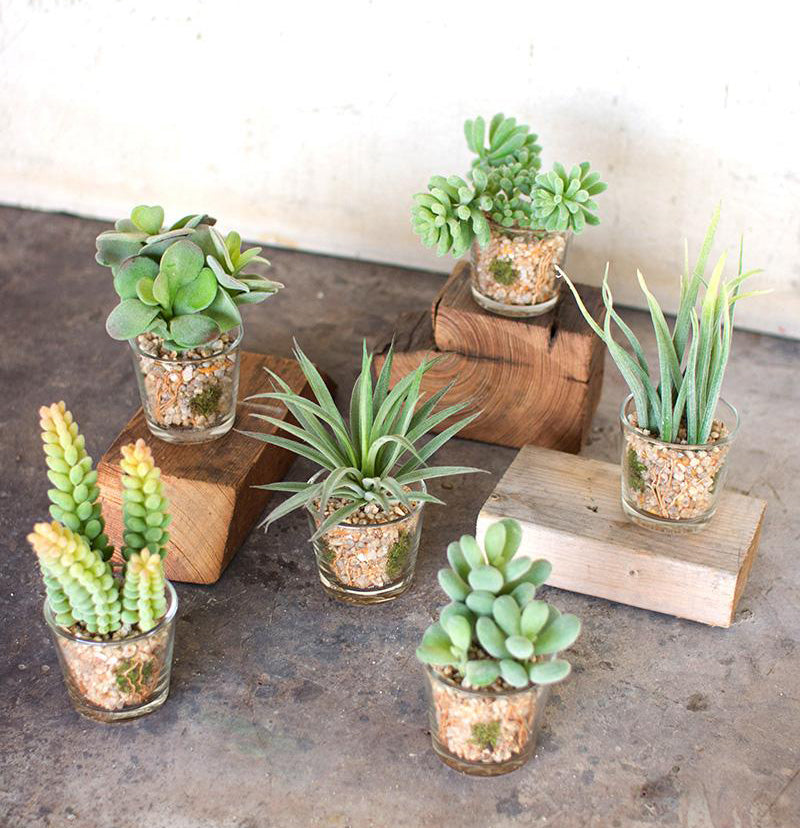 succulent pots glass Set Of 6 Realistic Lifelike Artificial Faux Botanica Succulents In Gla– Ebros Gift