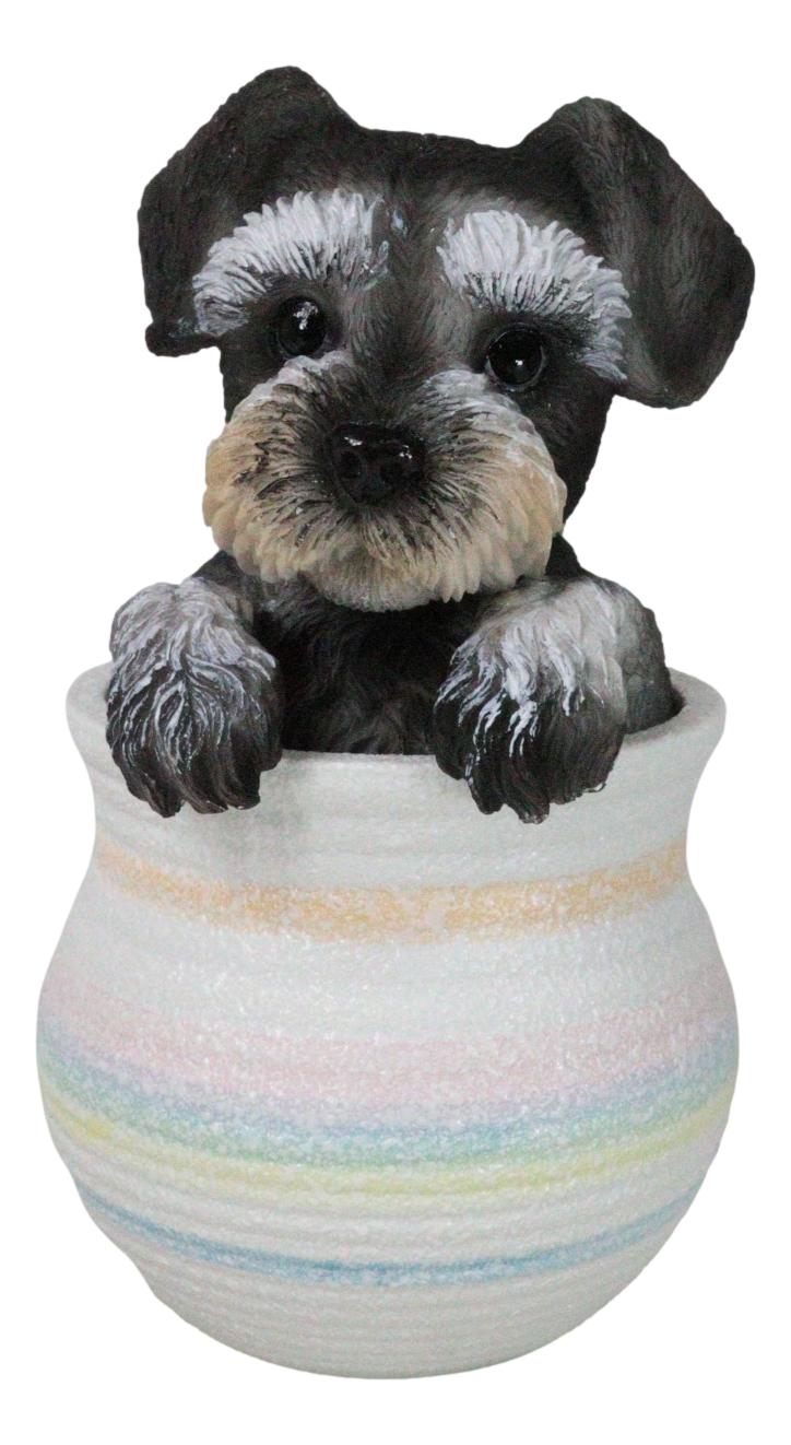Adorable Grey Mini Schnauzer Puppy Dog Figurine With Glass Eyes