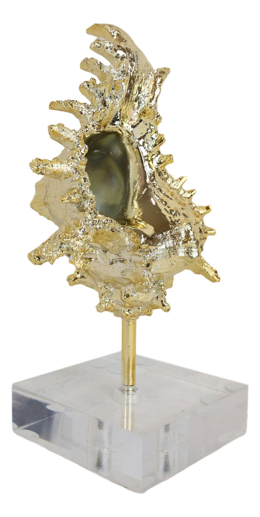 Nautical Marine Coral Golden Conch Large Sea Shell Sculpture With Acrylic Base
