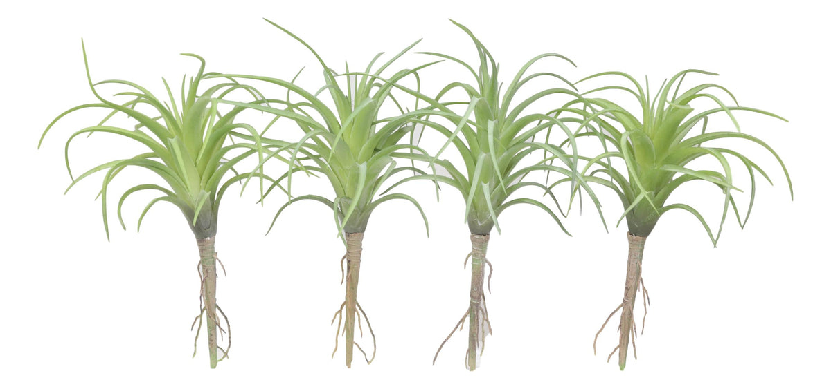 Set of 5 Realistic Artificial Faux Botanica Air Plants Fern Grass Succulents 8"