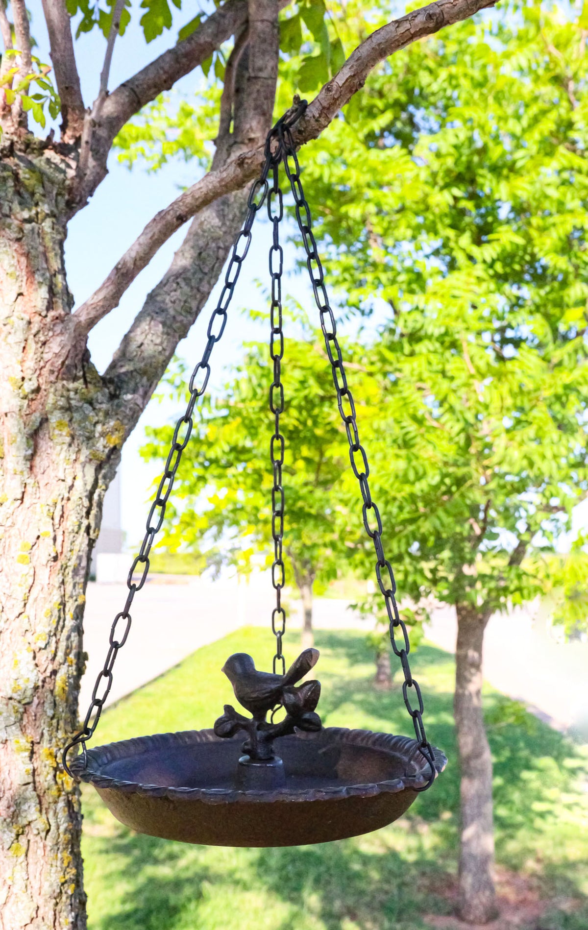 Cast Iron Love Bird On Branch Sunflower Basin Hanging Garden Bird Bath Feeder