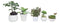 Set Of 5 Realistic Artificial Faux Botanica Succulents In Ceramic Mini Pots