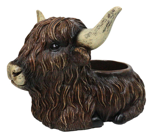 Rustic Western Scottish Highlands Cattle Cow Wine Holder Container Pot Holder 9"
