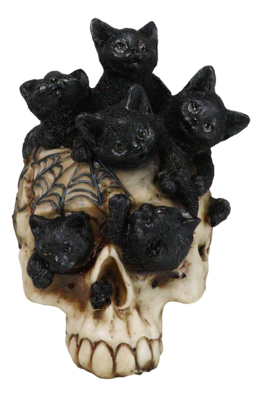Witchcraft Black Kitten Cats Perching On Arachnid Spider Web Skull
