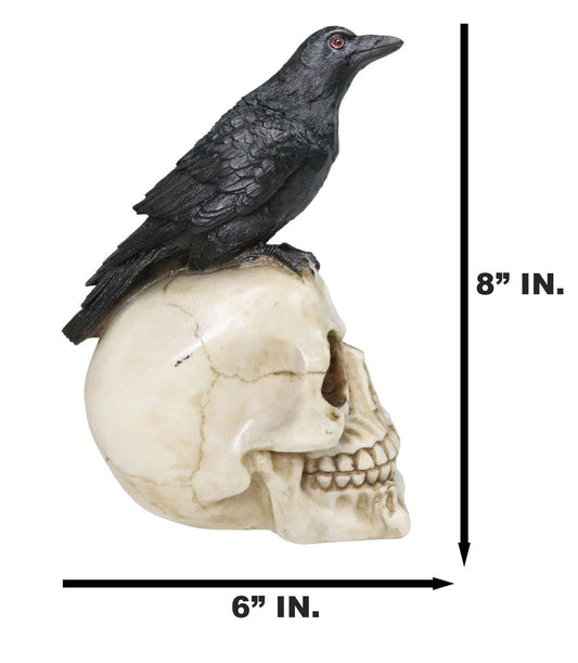Myth and Legends Black Odin Raven Crow Perching On Skull Decorative Figurine