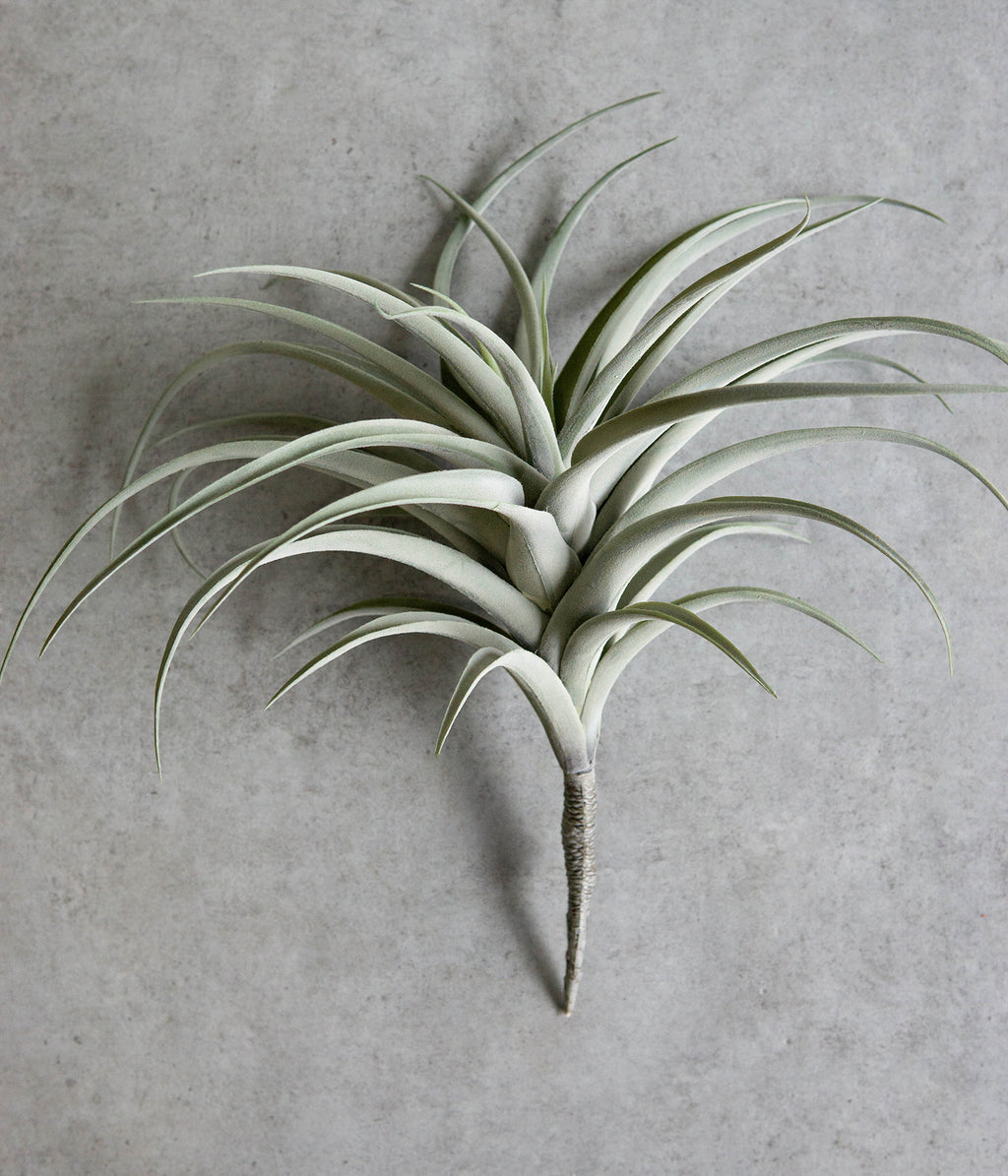 fake air plants Set Of 4 Realistic Large Artificial Air Plant Succulents Stem Green Botanica 17"