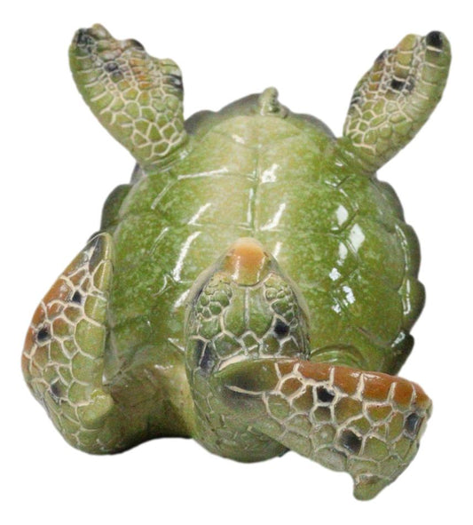 Nautical Marine Playful Green Shelled Sea Turtle On Back Flip Cell Phone Holder