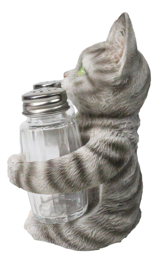 Gray Tabby Cat Salt and Pepper Glass Shakers Holder Set Cute Kitten Figurine
