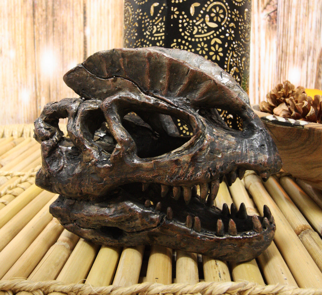 Buy dinosaur skull hotsell