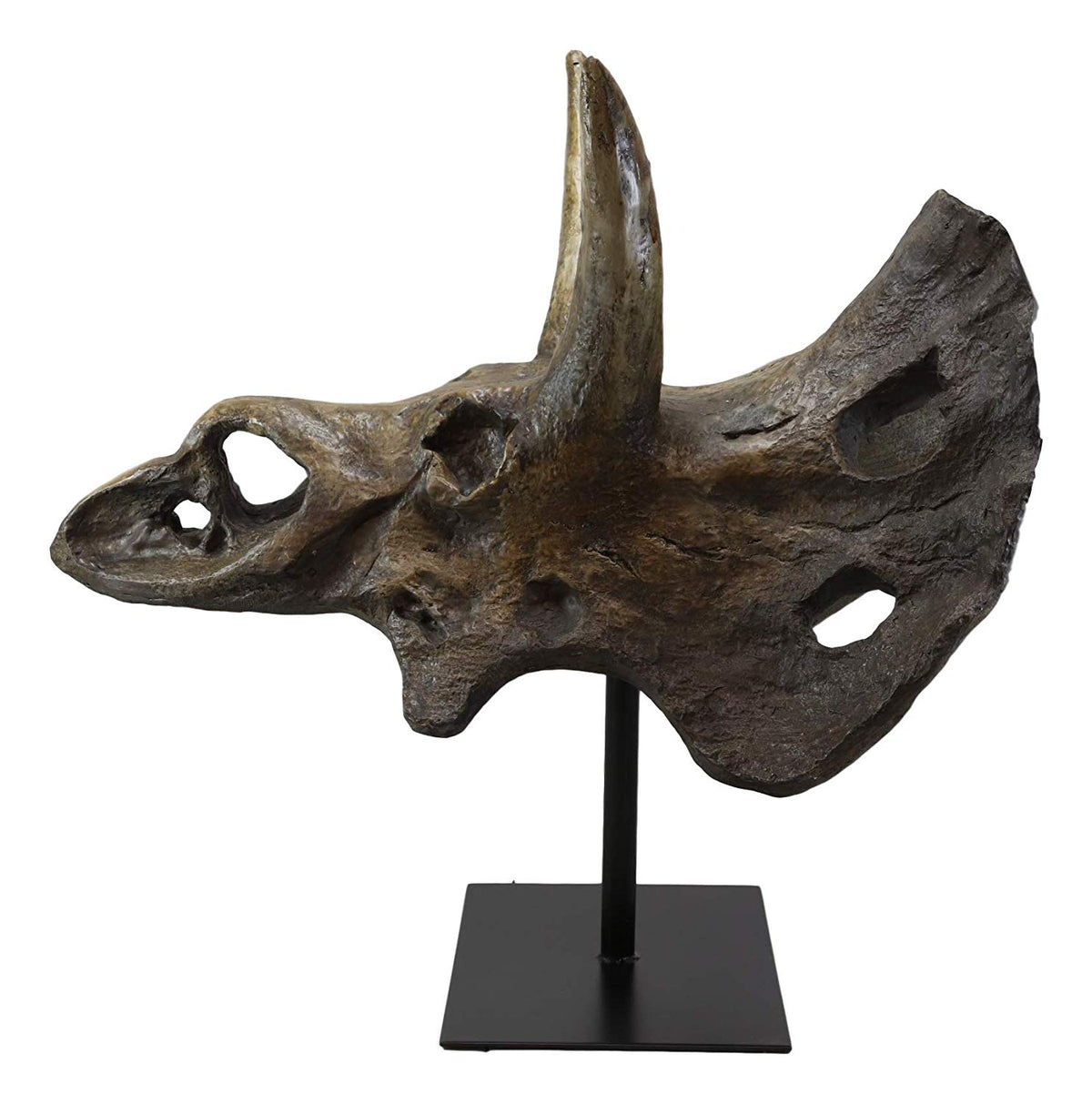 Ebros Prehistoric '3 Horns' Triceratops Dinosaur Fossil Skeleton Statue 22" Tall