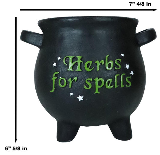 2-Pack Green Thumb Witch Gardening Black Herbs For Spells Cauldron Planter Pots - Ebros Gift