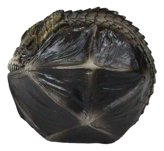 Fear The Dragon Green Hibernating Small Trinket Jewelry Box Stanley Morrison