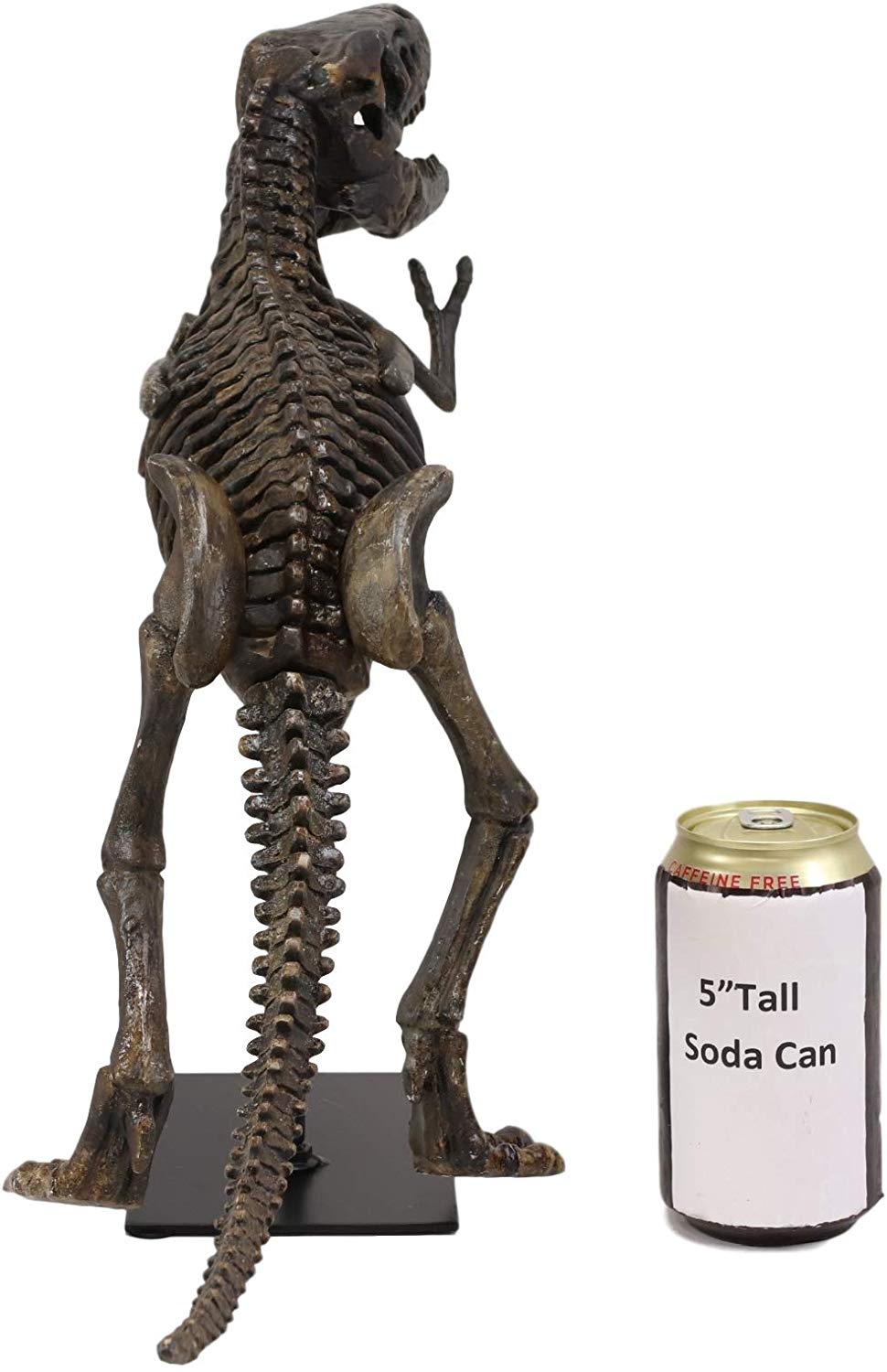 Ebros Jurassic Dinosaur Tyrannosaurus Rex Fossil Skeleton Statue On Museum Mount 19"L