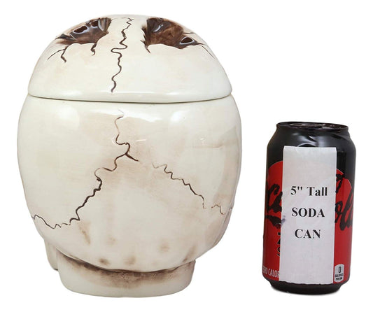 Ebros Large Ceramic Homosapien Jointed Human Skull Cookie Jar Figurine 9.25" L