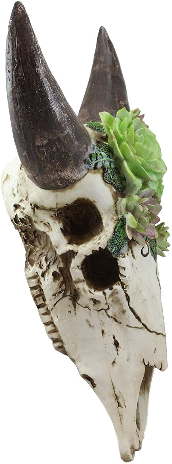 succulent game animal Ebros Western Vintage Aged Faux Taxidermy Wildlife Horned Game Animal Skull  Head With Painted Flowering Succulents Wall Mount Decor 3D Replica Skulls