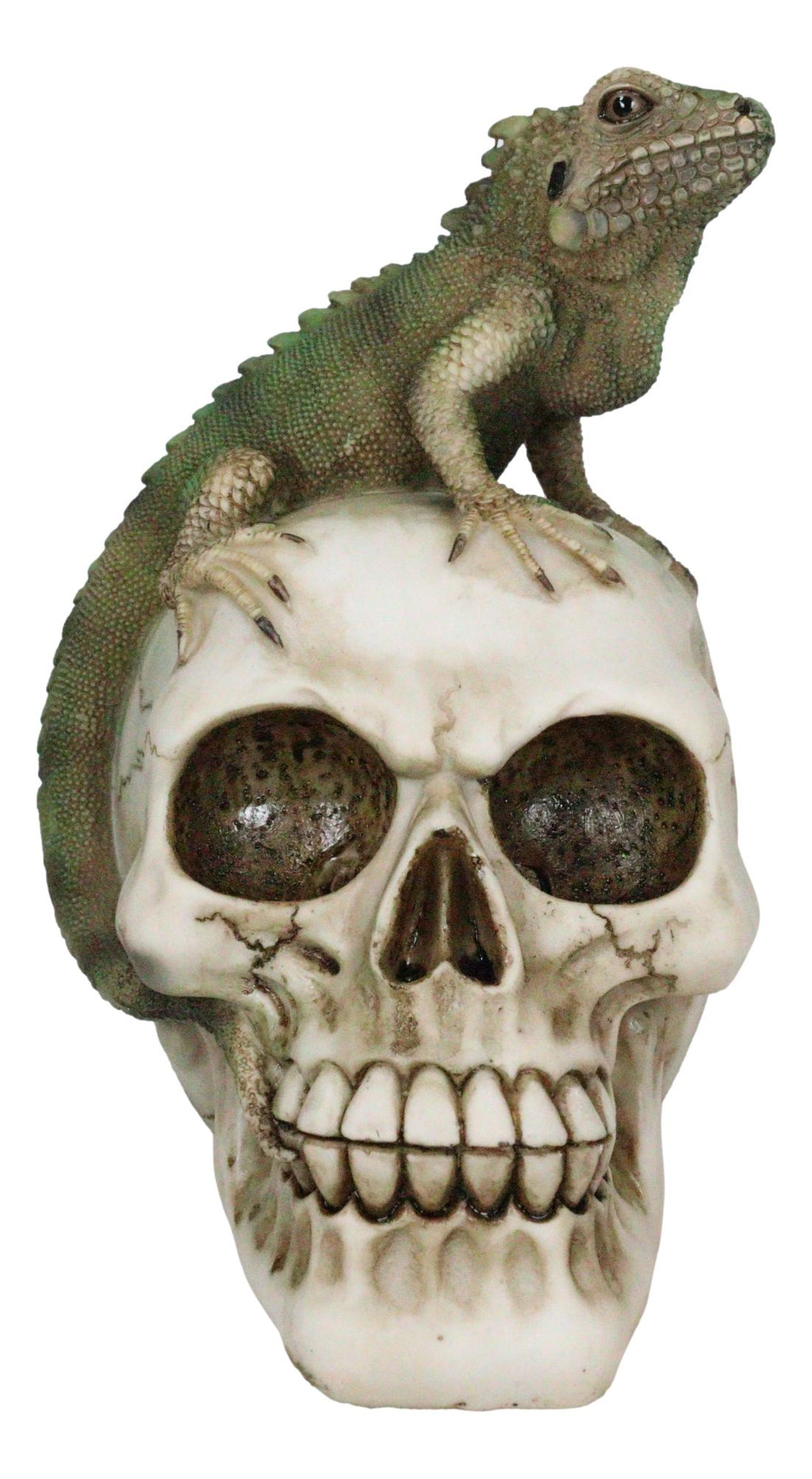 Jointed Human Skull With Iguana Lizard Figurine Halloween