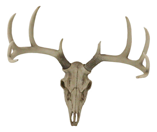 Ebros 18."L 10 Point Buck Head Wall Mount Resin Stag Deer Skull Antler Sculpture - Ebros Gift