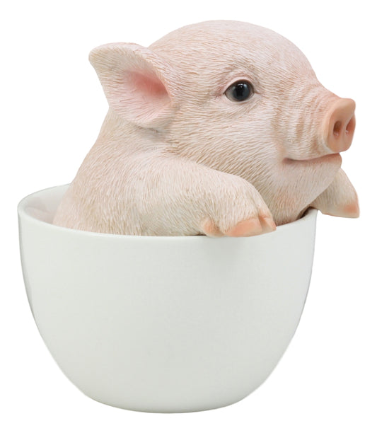 Ebros Adorable Teacup Pig 5.25"H Realistic Animal Collectible Statue with Glass Eyes - Ebros Gift