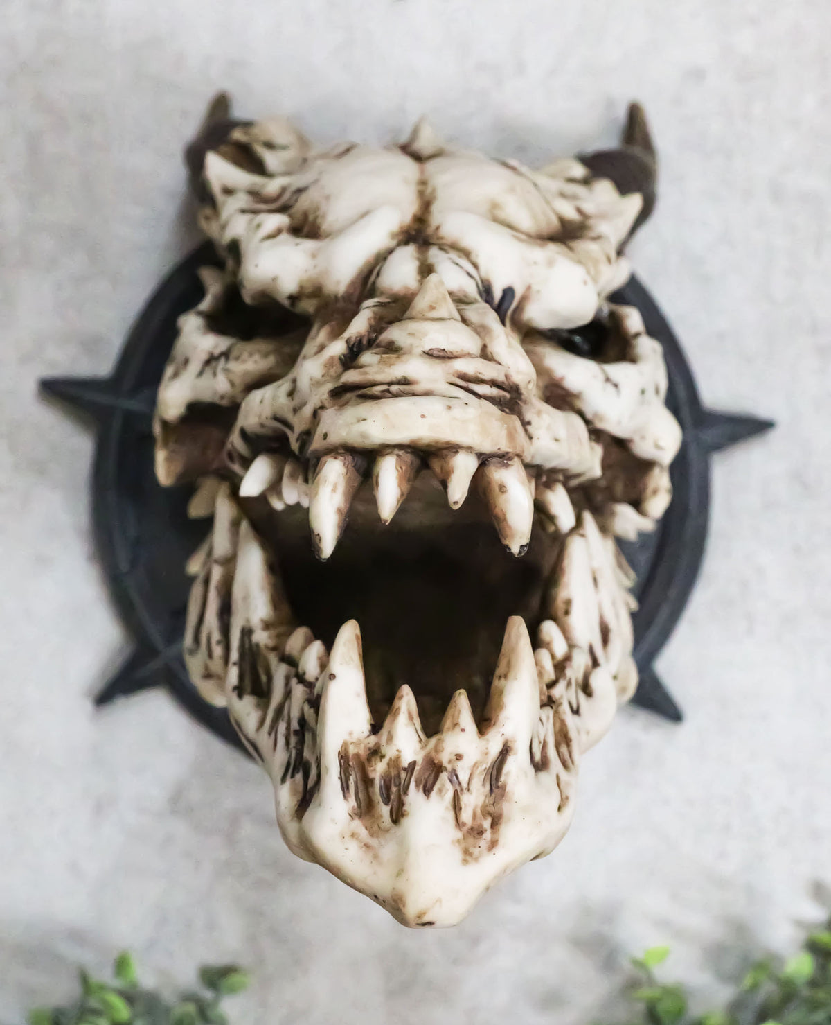 Large Chained Horned Dragon Skull Wall Trophy Decor Saint George Slain Dragon