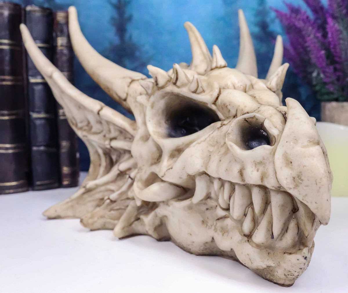 Ebros Elder Jurassic Dragon Head Skull Realistic Fossil Statue 9" Long Figurine - Ebros Gift