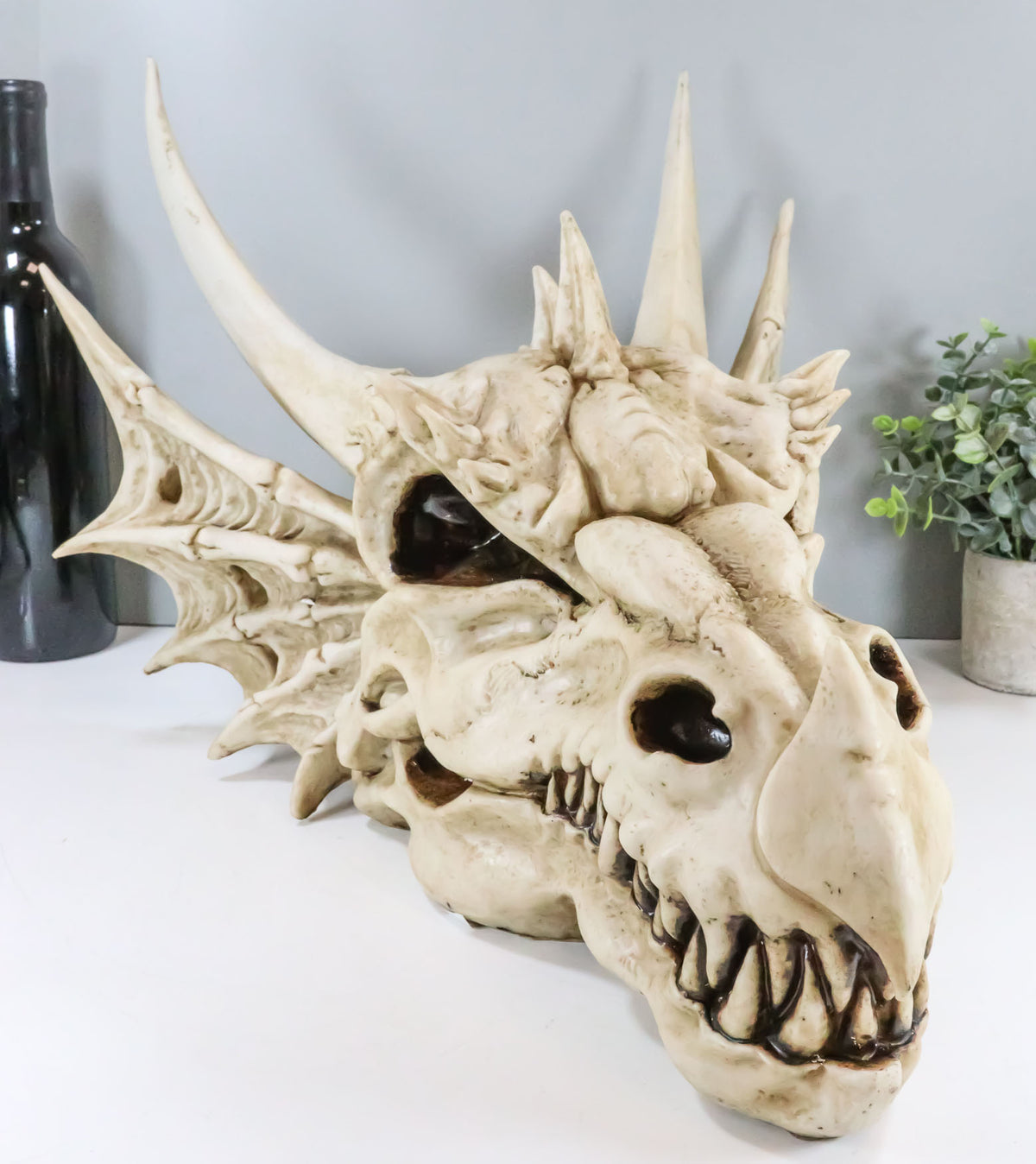 Large Elder Dragon Skull Statue Legendary Erathia Fossil Skeleton 18"L Figurine - Ebros Gift