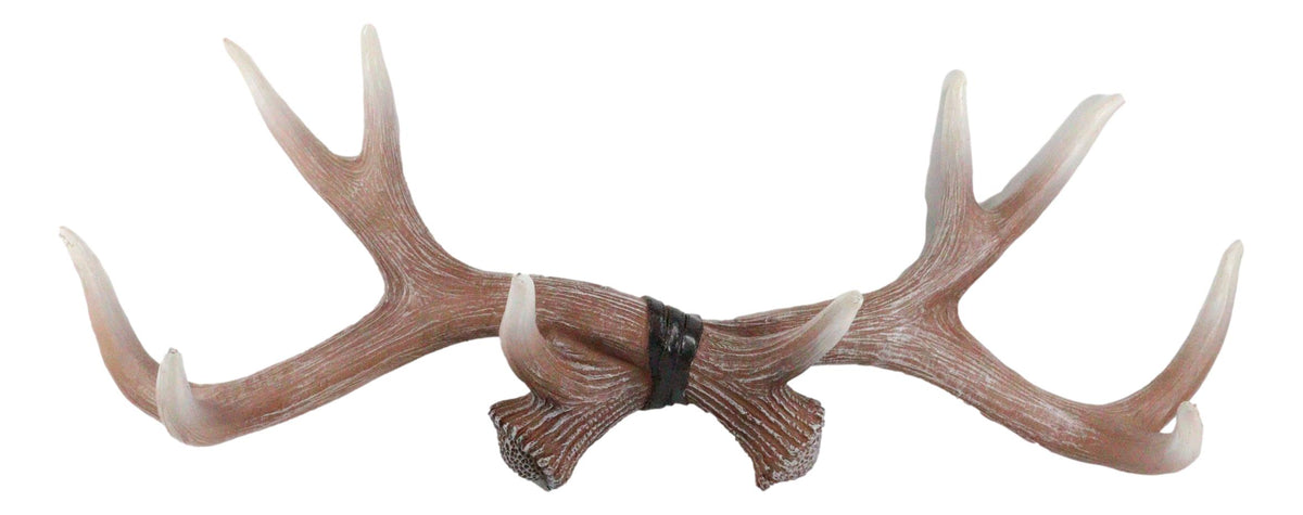 Ebros White Rustic 10 Point Stag Deer Antlers Rack Wall Plaque 17"W Coat Hooks