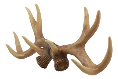 Ebros Brown Rustic 10 Point Stag Deer Antlers Rack Wall Plaque 17"W Coat Hooks
