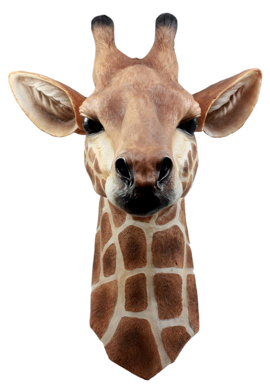 Ebros Safari Giraffe Head Trophy Taxidermy Wall Decor Sculpture Hanging Plaque