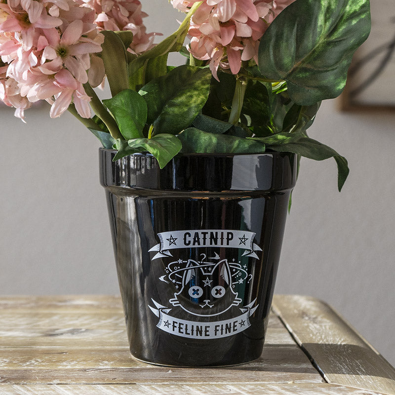 black cat plant pot Catnip Feline Fine Pentagram Black Cat Wicca Witch Flower Herbs Plante– Ebros Gift