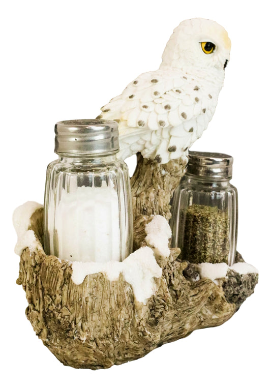 Snow White Owlet Owl On Snowy Branch Glass Salt Pepper Shakers Holder Figurine