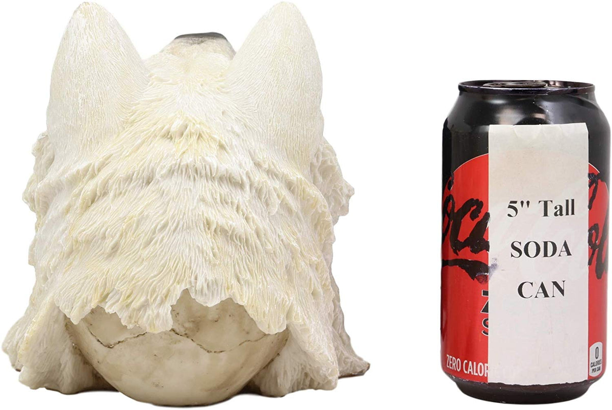 Ebros Koitsenko Warrior Chief White Wolf Skull Statue Gothic Figurine (White)